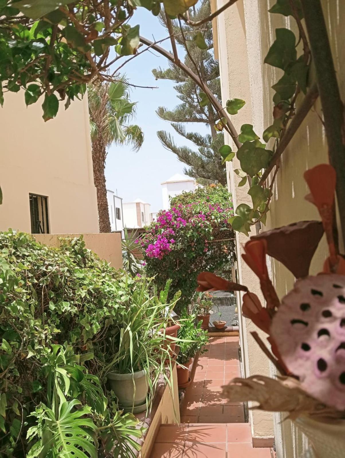 Casa Noray 18 Leilighet Playa Honda  Eksteriør bilde